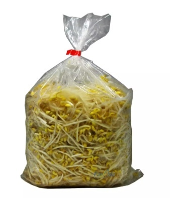 KongnaMul, Soybean Sprouts, Solida (1kg)